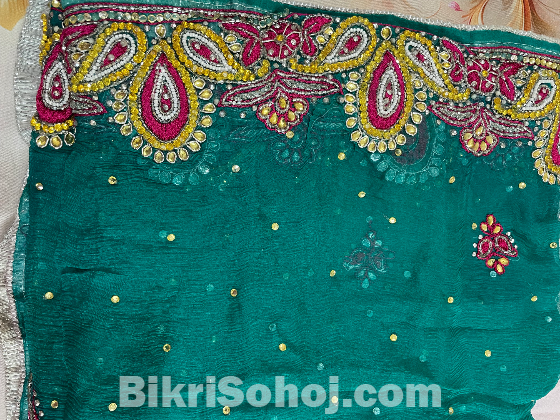 Indian Gorgeous dress